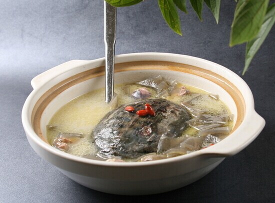 甲鱼的做法