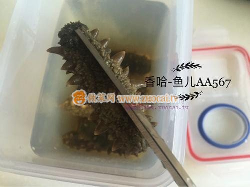 发海参的做法