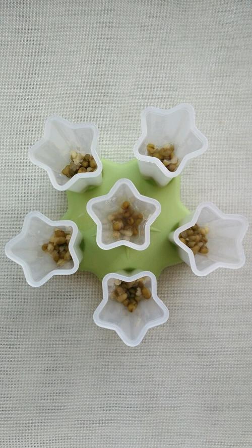 自制绿豆棒冰的做法