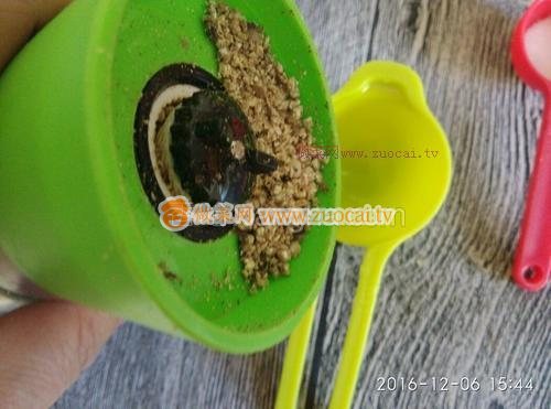 芝麻薄脆饼（无油无糖）的做法