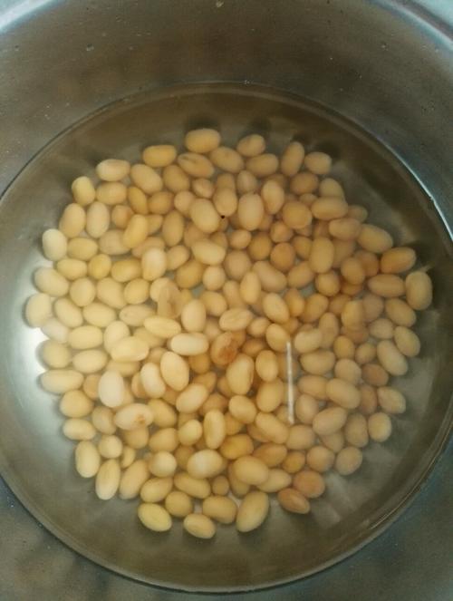 海带焖黄豆的做法