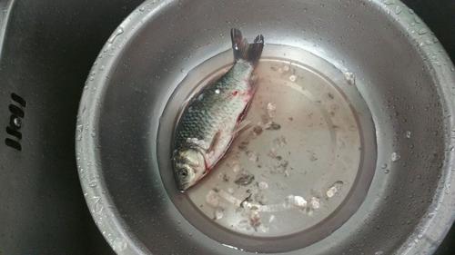 干锅鲫鱼的做法