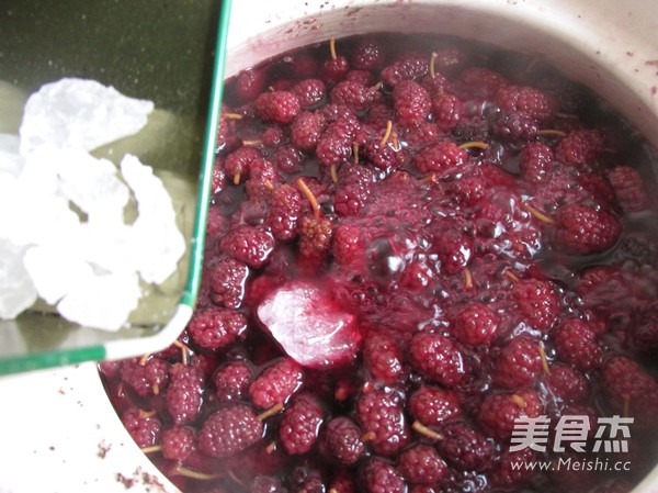夏日冰品--桑葚冰块的做法