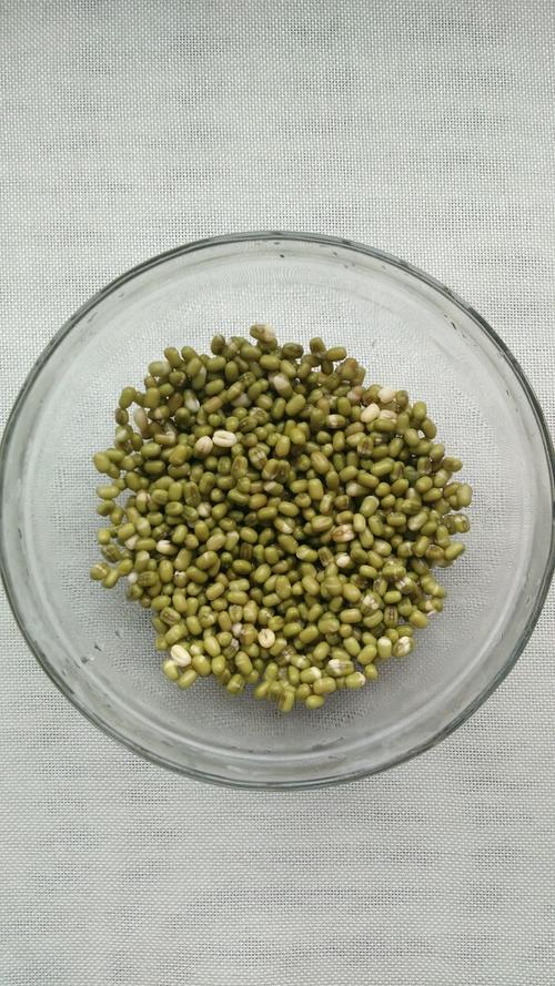 自制绿豆棒冰的做法