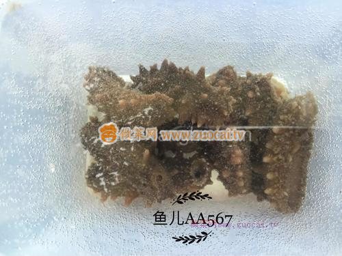 发海参的做法