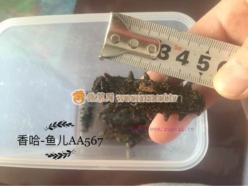 发海参的做法