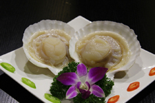 干贝