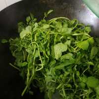 蒜蓉爆炒西洋菜的做法步骤3