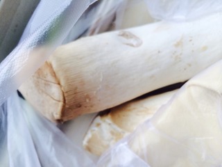 煎杏鲍菇