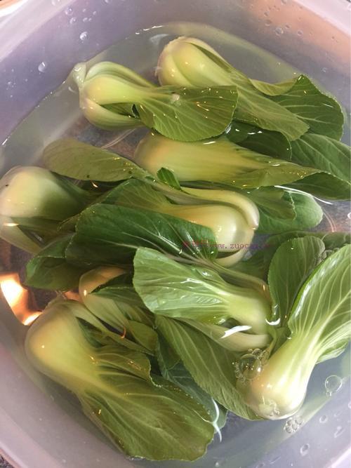 牛肉手擀面的做法