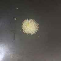 姜蒜爆虾仁的做法步骤4