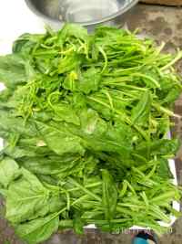 菠菜鸡蛋菜卷的做法步骤1