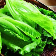 【生菜的营养价值】生菜的功效与